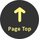 Page Top