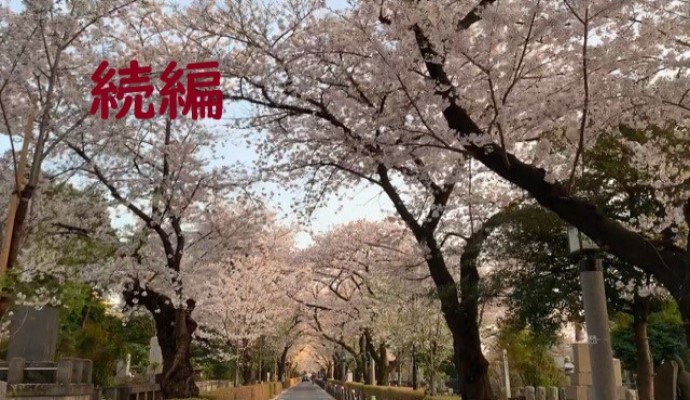 続:桜の開花日を予想してみよう ~世の中に たえて桜の なかりせば~ 続:桜の開花日を予想してみよう ~世の中に たえて桜の なかりせば~